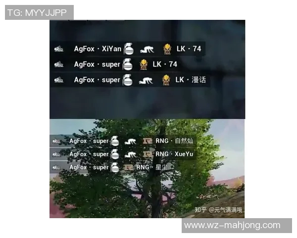 热议和平精英RNG战队快速变革背后的策略与挑战分析